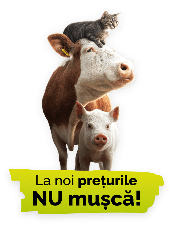 Silvanian Farmvet Slogan and Animals